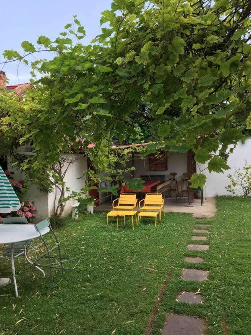 En Rez De Jardin *
