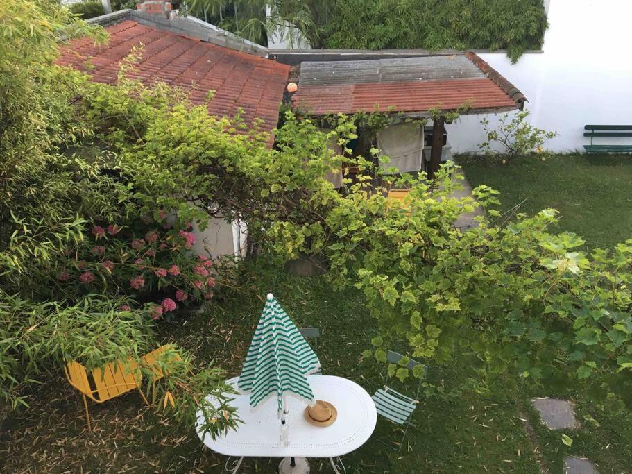 En Rez De Jardin Apartment Ciboure